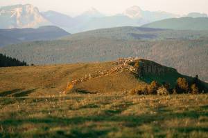 Guillaume MEIKATT - Élévation Picture