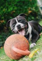 Nicolas FRUCHART - NICOLAS FRUCH'ART PHOTOGRAPHY