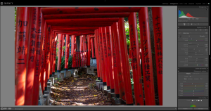 Alexandre BADOT - BADOT ALEXANDRE